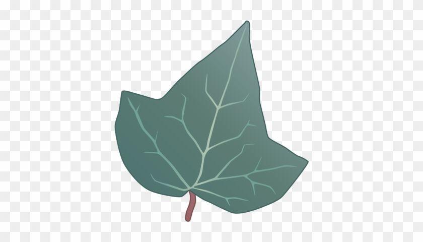 Ivy Leaves Logo - Drawn Leaf Ivy Leaf Leaf Vector Transparent PNG Clipart