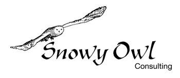 White Owl Logo - About Snowy Owl