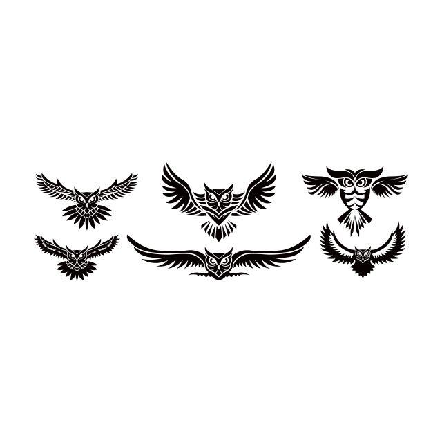 White Owl Logo - Owl Logo Vector Illustration Emblem Design On White, Symbol, Black