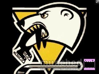 Penguins New Logo - New logo for Pittsburgh penguins!. #thats hockey#awesome#hockeygurl