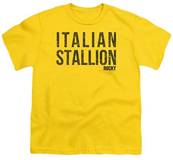 Italian Stallion Logo - Amazon.com: A&E Designs Kids Rocky T-Shirt Italian Stallion Logo ...