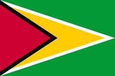 Green Shield with Yellow Triangle Logo - Best Flags Around The World image. Flags of the world, World
