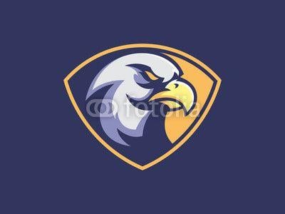 Eagle Sports Logo - Eagle mascot design for logo. Sports branding. Eagle head badge ...