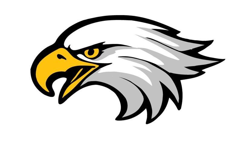 Eagle Head Logo - 110 Best Eagles Logos images in 2019 | Eagles, Logos, Animal logo