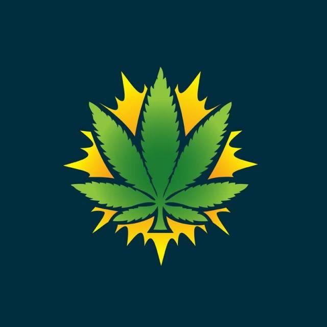 Modern Sun Logo - Modern Organic Cannabis And Sun Logo Template for Free Download
