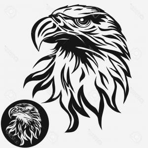 Eagle Head Logo - Photostock Vector Eagle Head Logo Template Hawk Mascot Graphic ...