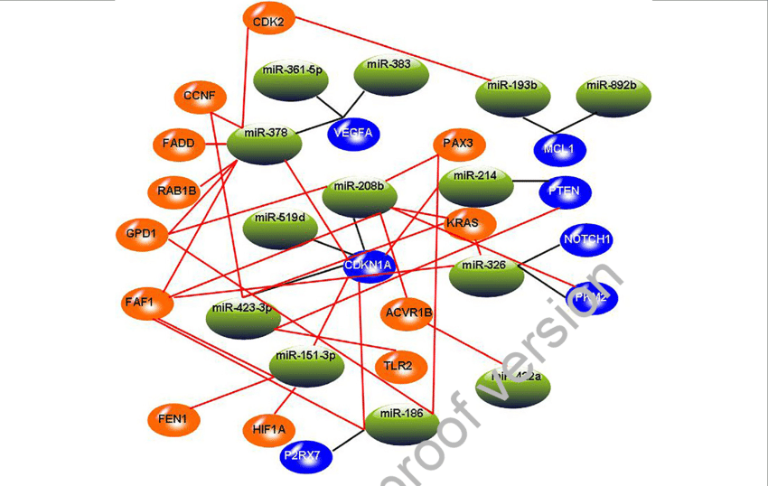 Three Orange Circle S Logo - The constructed miRNA-mRNA regulation network. In this graph, blue ...