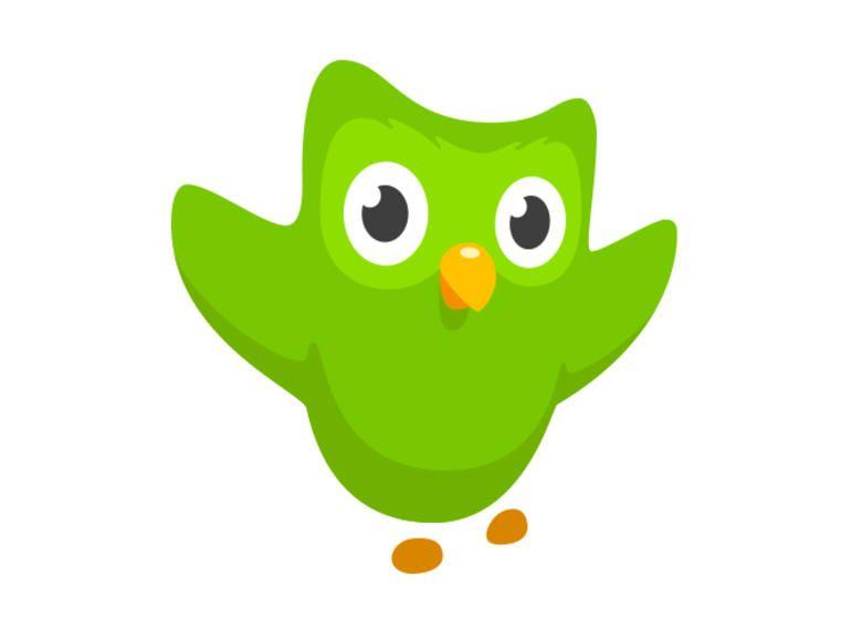 Wht Is the Green Bird Logo - Duolingo offers free language learning while helping to translate ...