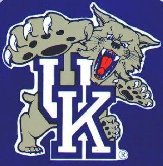 Cool Wildcat Logo - You guys thought that new Kentucky logo showing two birds getting
