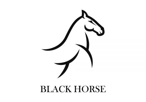 Black Horse Logo - Black Horse • Premium Logo Design for Sale - LogoStack