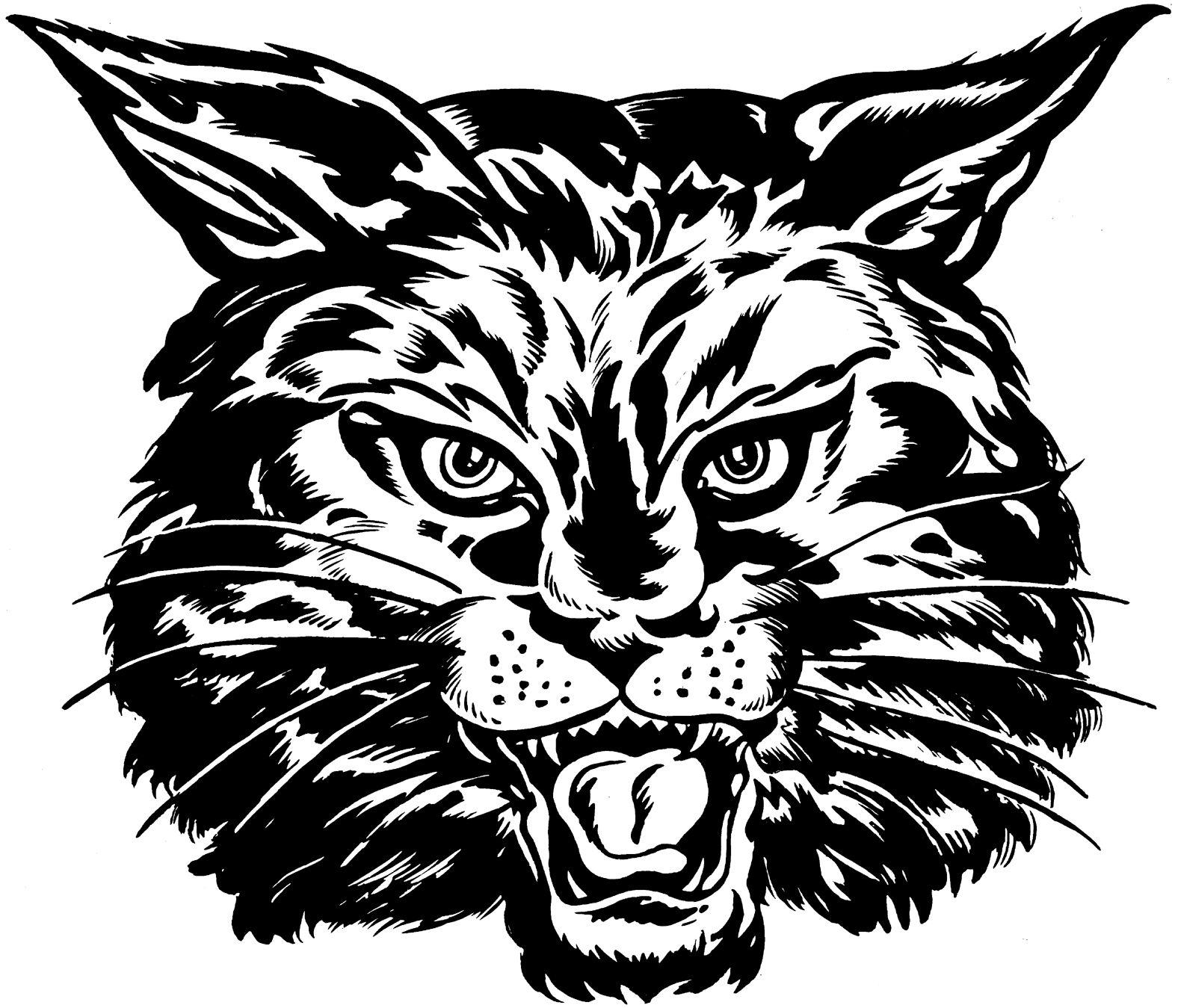 Cool Wildcat Logo - Cool Wildcat