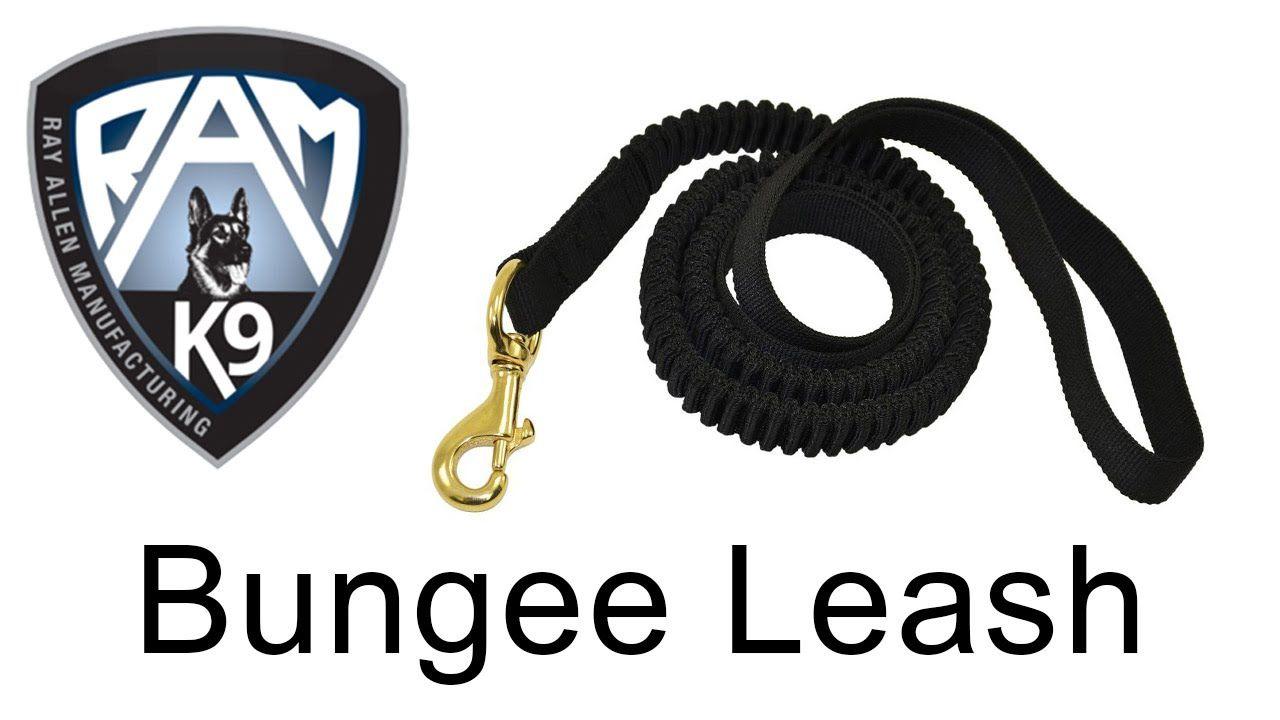 Ray Allen Logo - Bungee Leash by Ray Allen Manufacturing