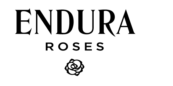 Diamond Roses Logo - Endura Roses | Bluewater Shopping & Retail Destination, Kent