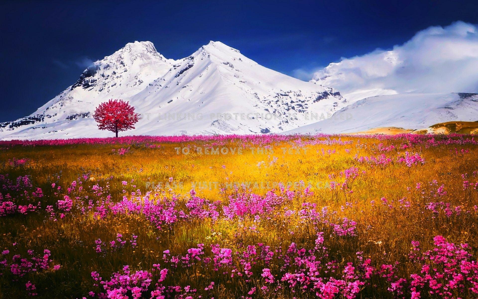 Pink White and Blue Mountains Logo - alpine spring white blue sky mountains pink