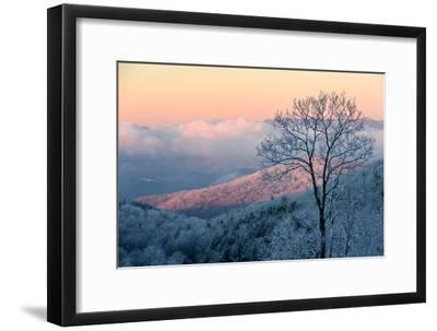 Pink White and Blue Mountains Logo - Sunrise Casts a Pink Hue on Rime Ice in the Blue Ridge Mountains