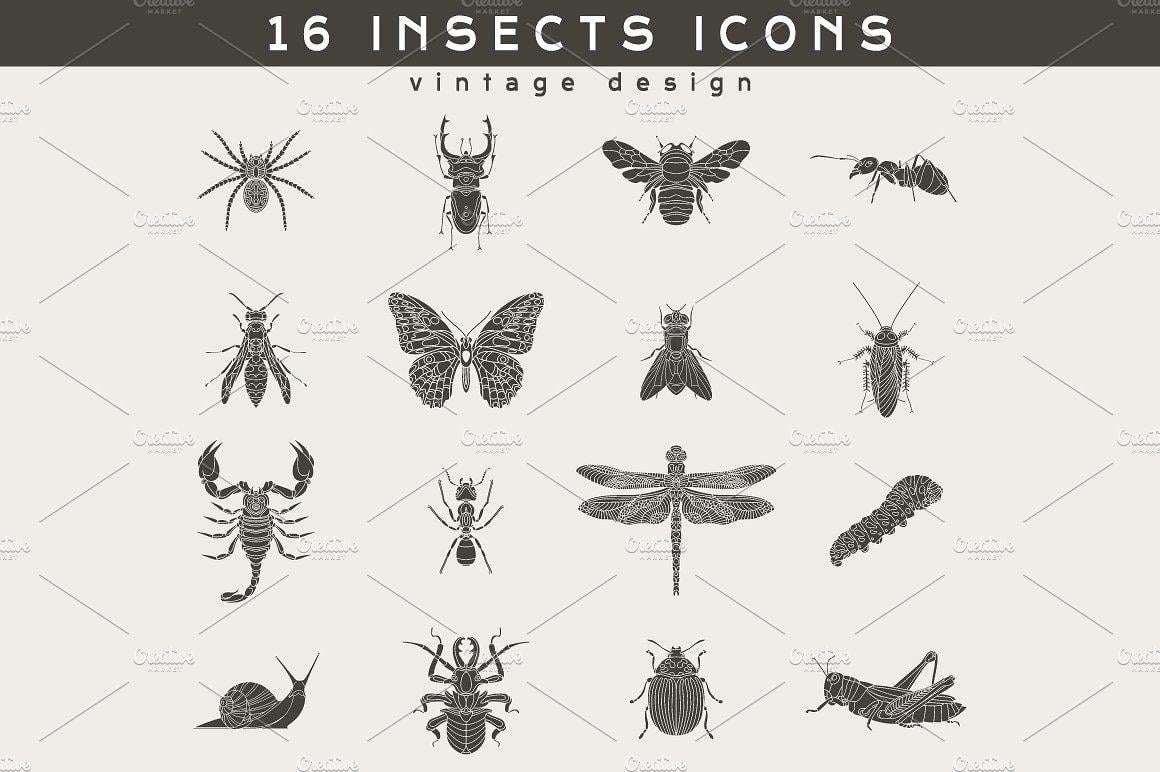Insect Logo - 16 Insect Logos ~ Icons ~ Creative Market