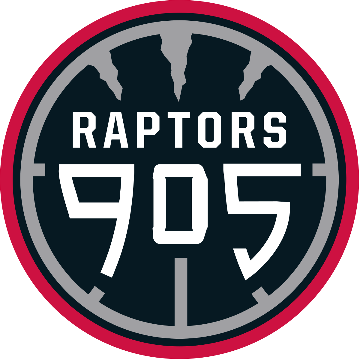 Raptors Basketball Logo - Raptors 905