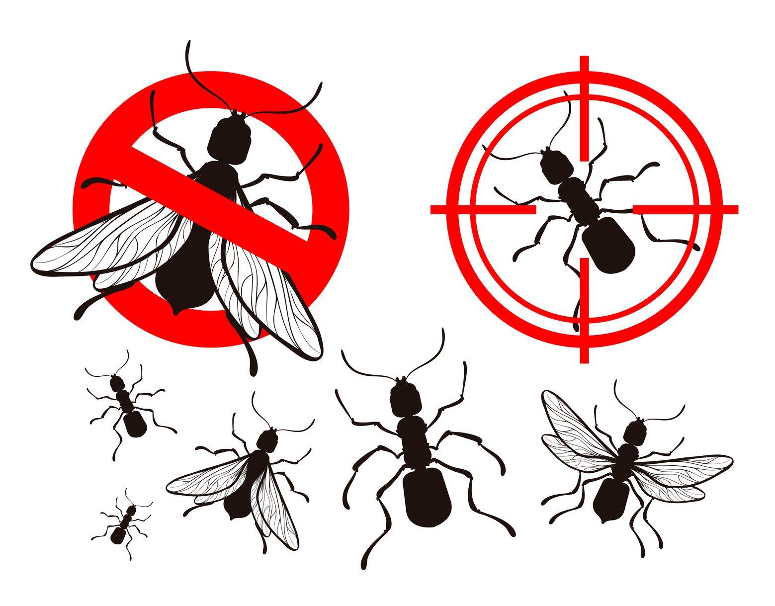 Insect Logo - The Ultimate Guide to Building Pest Control Logos • Online Logo