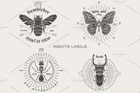 Insect Logo - Vintage insect labels Logo Templates Creative Market