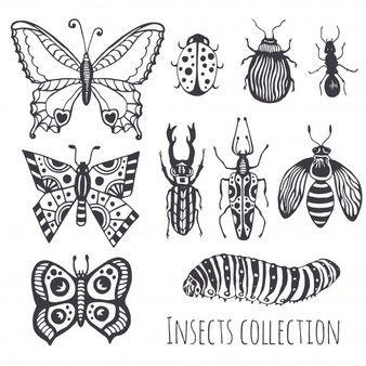 Insect Logo - Insect Outline Vectors, Photo and PSD files