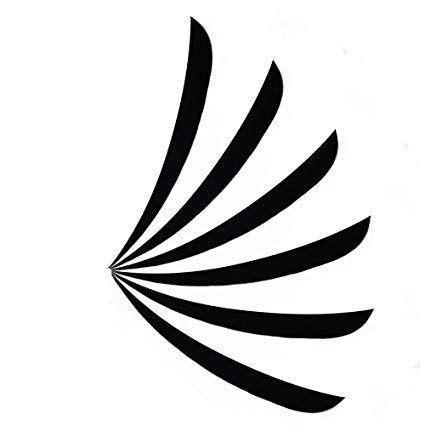 Amazon.com Arrows Logo - Amazon.com : Huntingdoor Arrows Feather 4 inch and 5 inch Right Wing