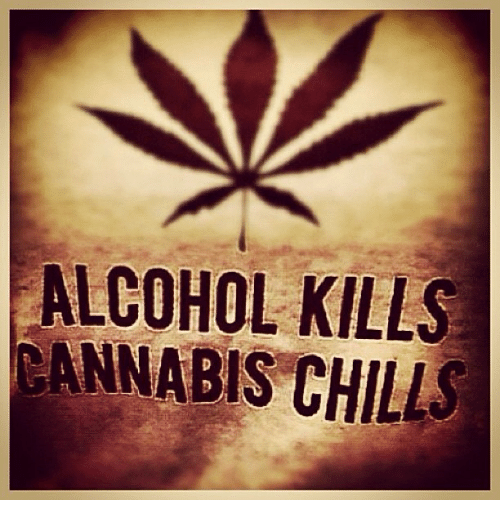 Chill Weed Logo - ALCOHOL KILLS CANNABIS CHILLS | Chill Meme on ME.ME