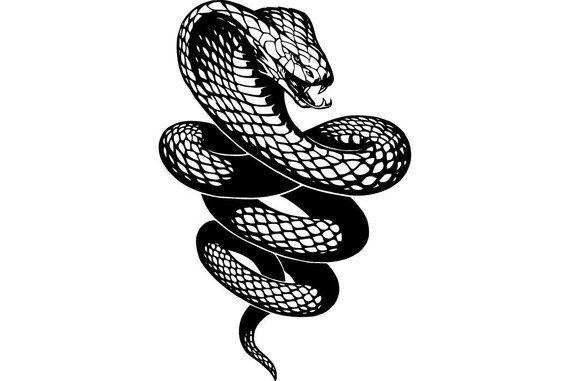 Cobra Snake Logo - Cobra Snake Png Black And White & Transparent Images #5418 - PNGio