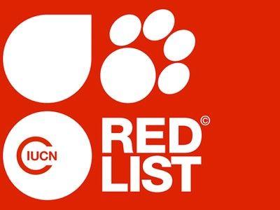 Red List Logo - more species moved to the “critically endangered” list