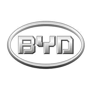 BYD Company Logo - BYD • The Netherlands • Company profile • Busworld ®