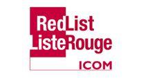 Red List Logo - ICOM Red Lists / Works of art / Crime areas / Internet / Home - INTERPOL