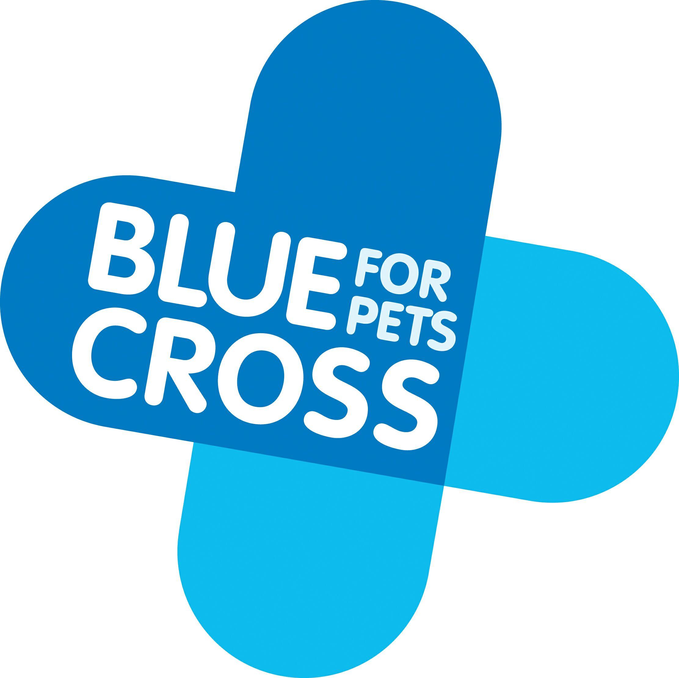 Blue Charity Logo - Blue Cross. The Big Give