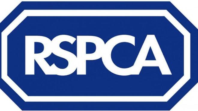 Blue Charity Logo - Shropshire RSPCA chairman stole £184k from charity - BBC News