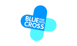 Blue Charity Logo - Media Officer in London