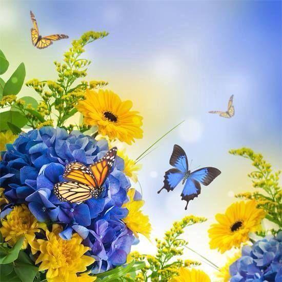 Blue and Yellow Flower Logo - Blue & Yellow Flowers & Butterflies Pictures, Photos, and Images for ...