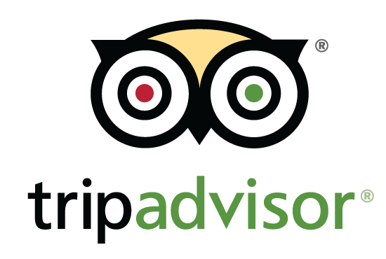 Travel Owl Logo - Nature lovers flock to the shore for birds