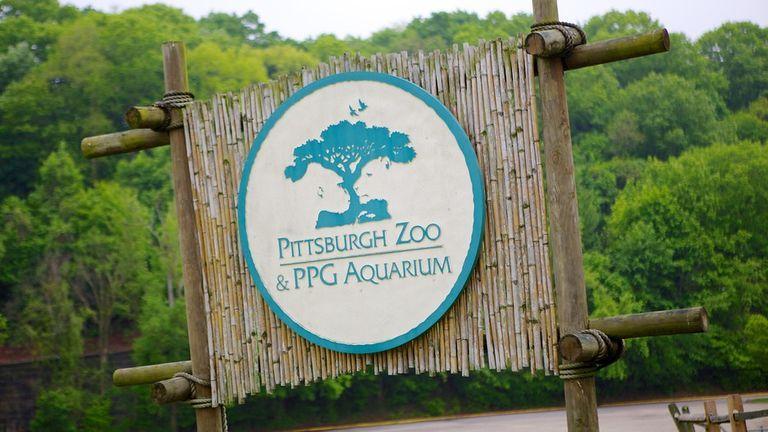 Pittsburgh Zoo Logo - Visit Pittsburgh Zoo and PPG Aquarium in Pittsburgh | Expedia