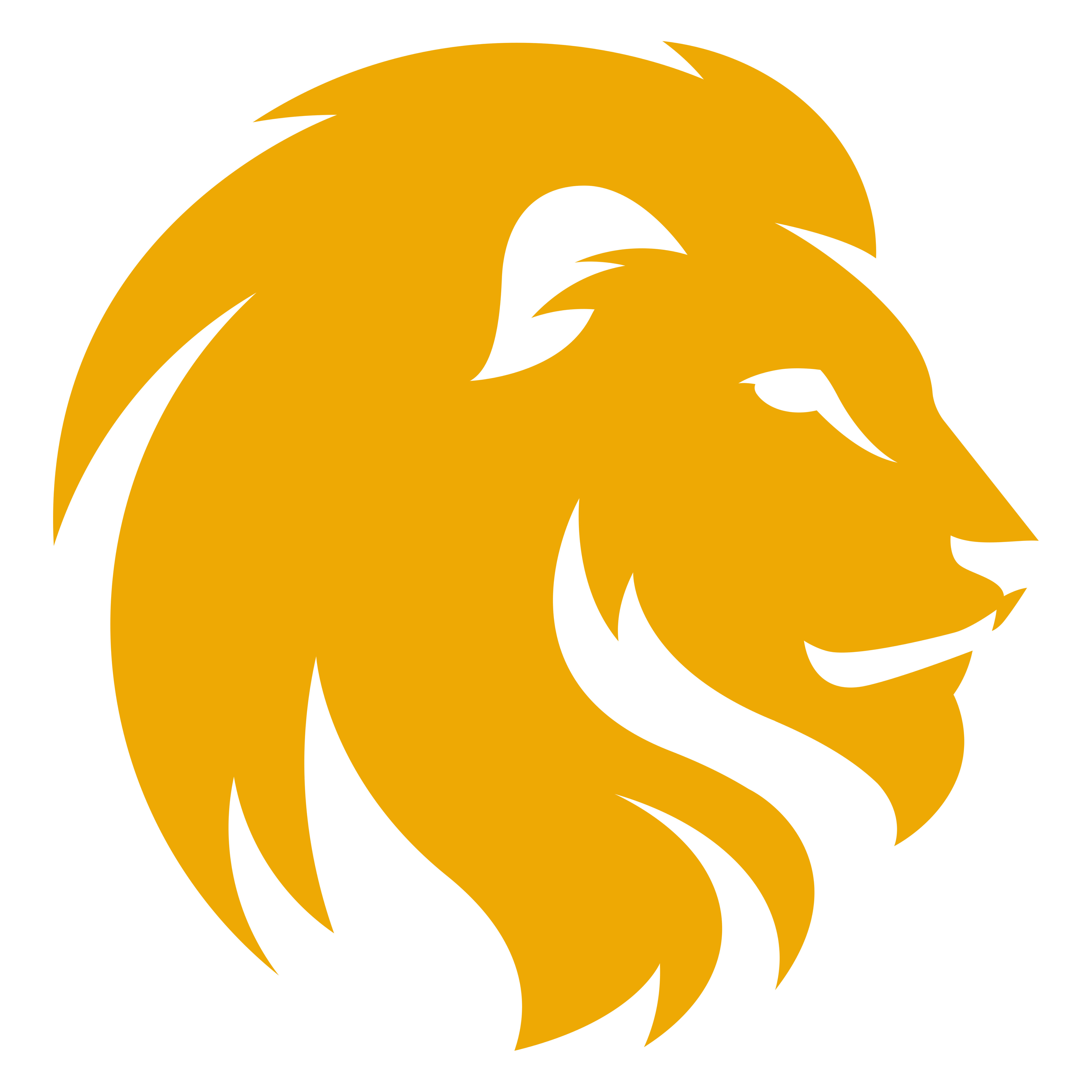 Circle Lion Logo - Orange lion Logos