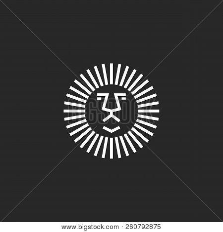 Circle Lion Logo - 