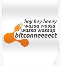 Bitconnect Logo - Bitconnect Posters