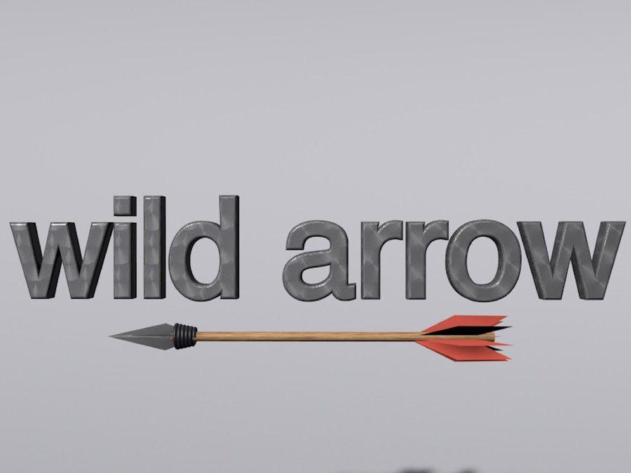 Simple Arrow Logo - Entry #24 by sebastiansolano for Simple logo design for Wild Arrow ...