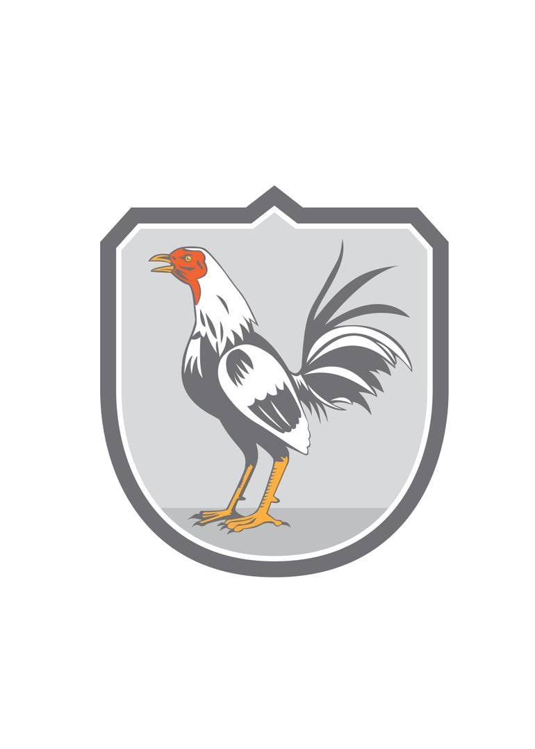 Eagle Standing On Shield Logo - Cockerel Rooster Standing Shield Retro New Media by aloysius ...