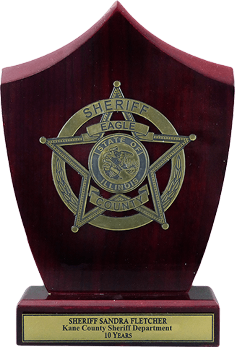Eagle Standing On Shield Logo - Shield Emblem Police Award