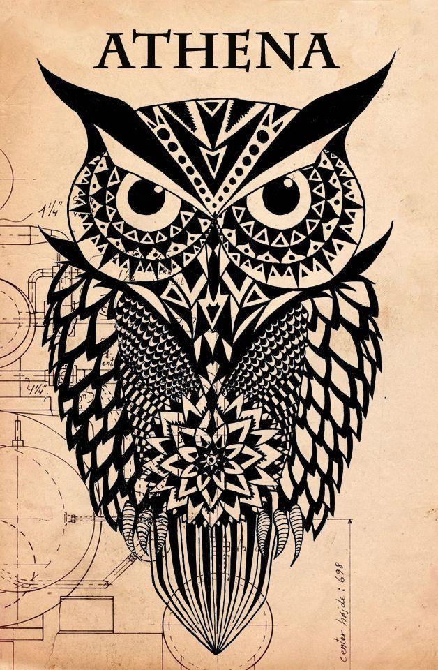 Athena Owl Logo - Jake) I was just claimed by Athena! I got into a debate with some ...