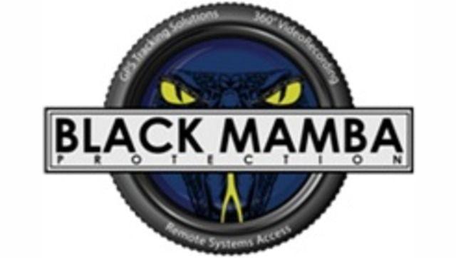 Mamba Logo - Black Mamba Protection LLC