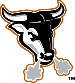 Durham Bulls Logo - LogoDix
