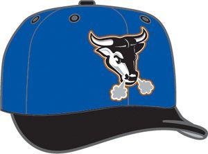 Durham Bulls Logo - new Durham Bulls logo Logos Creamer's Sports Logos