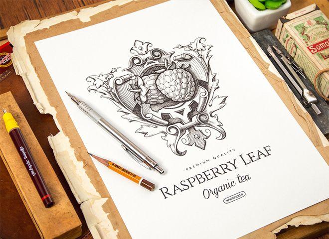 Illustration Logo - Outstanding Progress Illustrations for Icon & Logo Designs