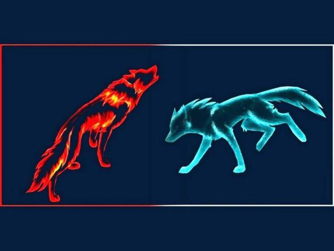 Ice Wolf Logo - Fire Wolf Ice Wolf, Wolf Clipart, Fire And Water, Wolf PNG and PSD ...
