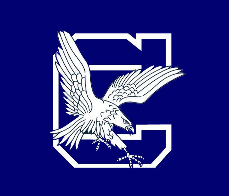 White and Blue Eagles Logo - Hocking, White Named CHS Athletes of the Year Cracker Sports