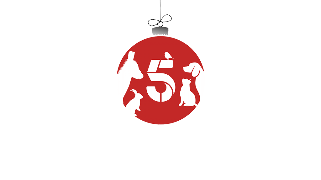 Channel 5 Logo - Help the Animals at Christmas
